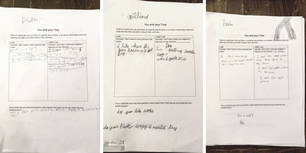 Three student "You and Your Tree" worksheets about what trees like and dislike, as well as a question that the students would ask a tree if they could.
