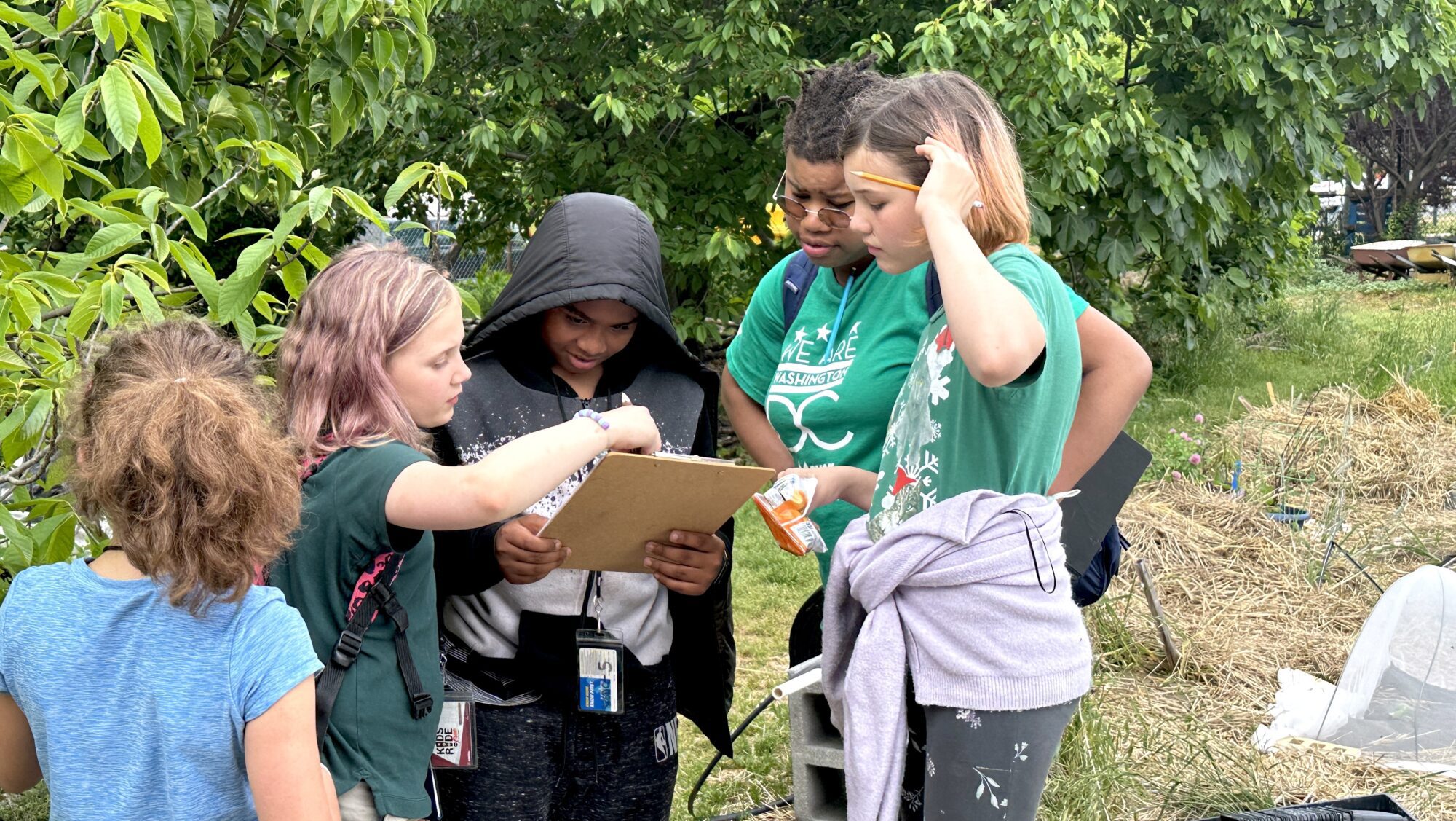 students looking at clipboard outside